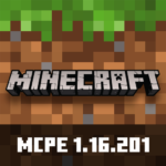 Minecraft 1.16.201