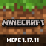 Minecraft 1.17.11