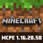 Minecraft 1.16.20.50