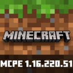 Minecraft 1.16.220.51