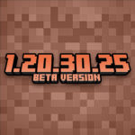 Minecraft 1.20.30.25